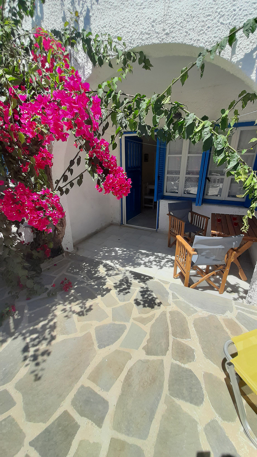 Apartment garden view 